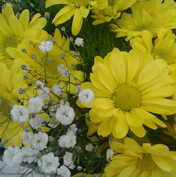 π²πLimited Time - Select Items π²π - Picture 8 of 8